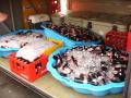 gal/Deplacement_a_Vigo/_thb_Vigo_-_Standard_28-09-06_024.jpg